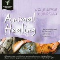 D Perry Wood - Animal Healing / Meditative & Relax, Healing Music, New Age