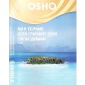 DVD Ocho (  ) -   ,    ./ video,  ()