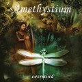 D Amethystium - Evermind / Enigmatic - New Age, Ethno Ambient  (Jewel Case)